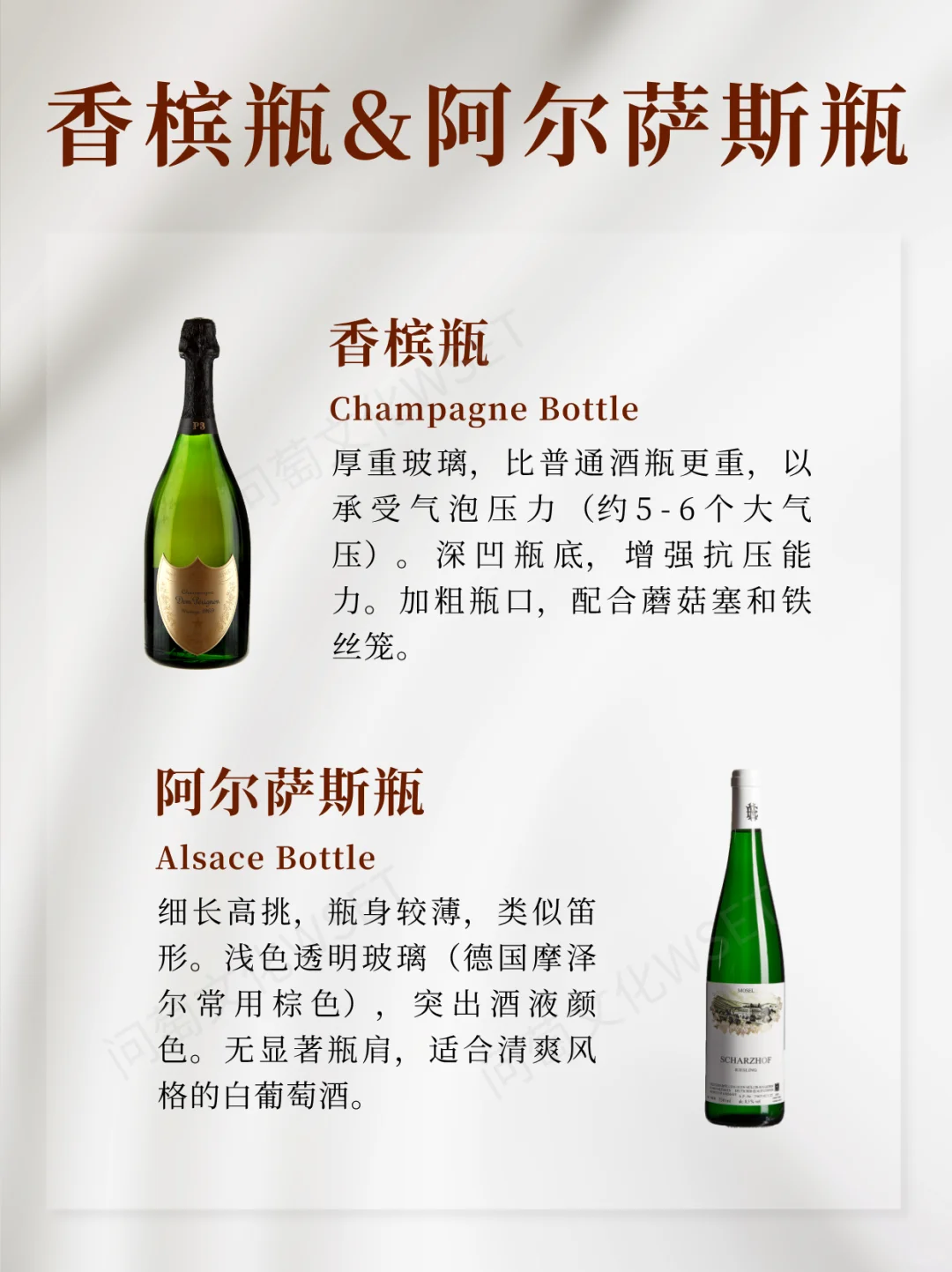 ?8种葡萄酒瓶身，你认识几种？
