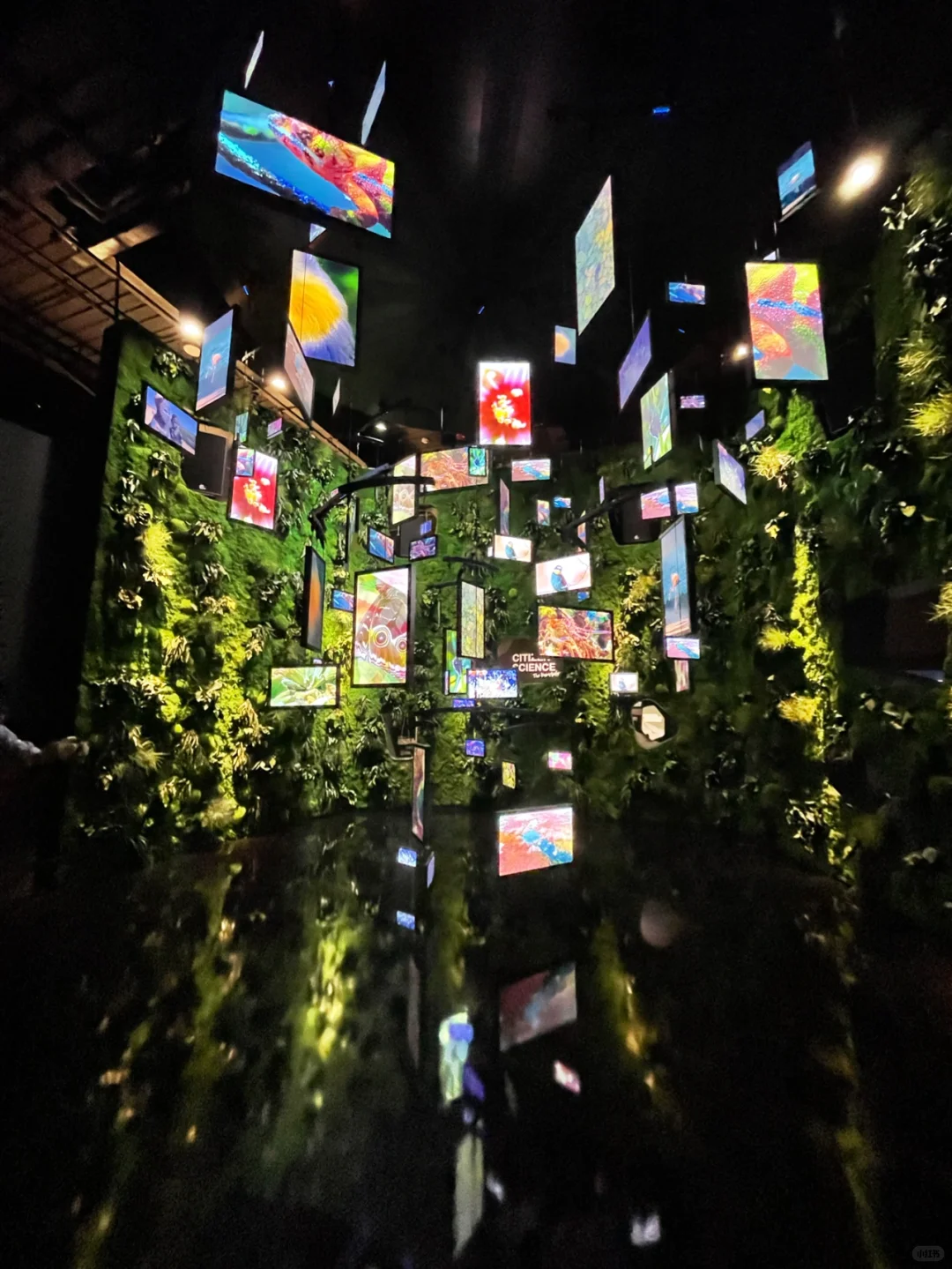 二刷迪拜世博会