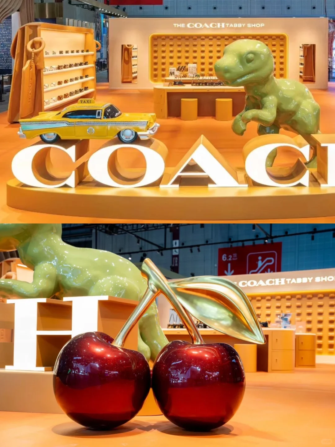 COACH?新款Tabby@进博会✨