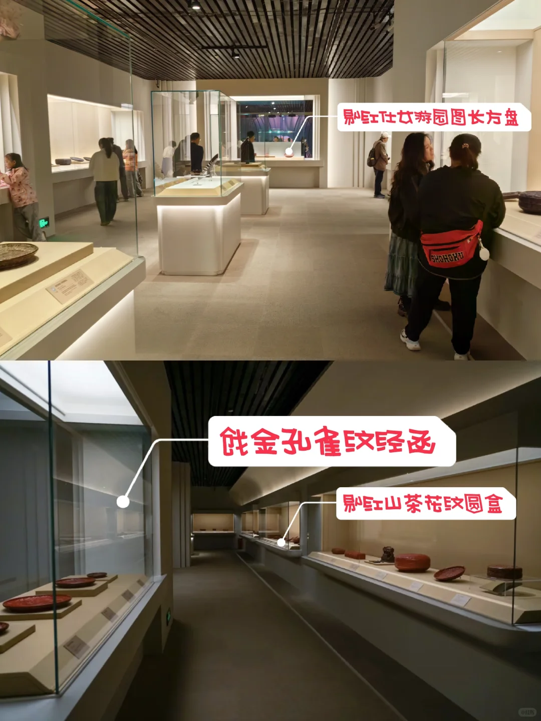 上海博物馆·红翠斗芳菲最后一期