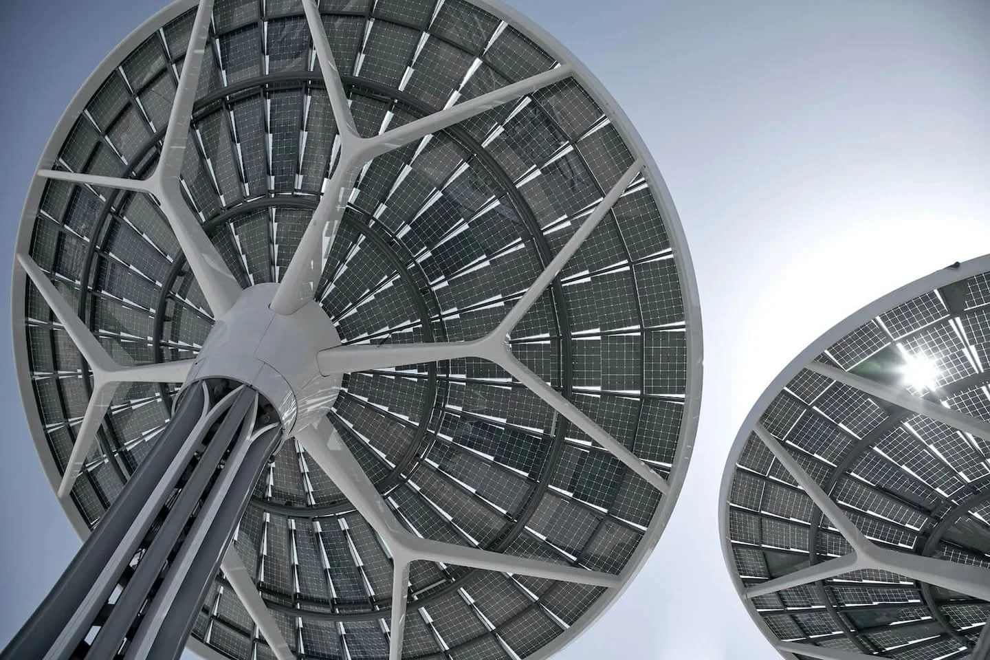 Terra - 2020 年迪拜世博会可持续发展馆