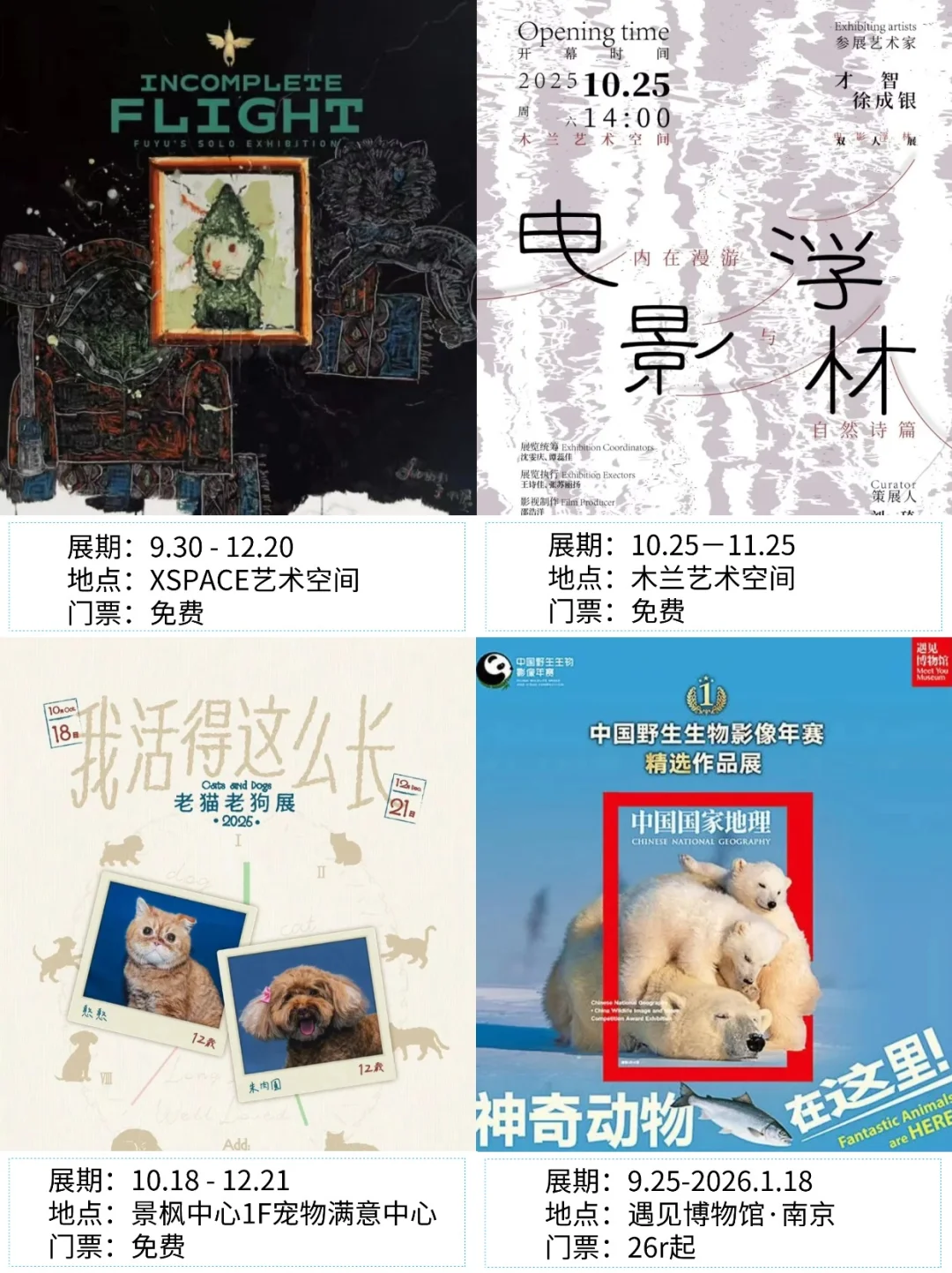 南京看展|?2025年11月新展合集