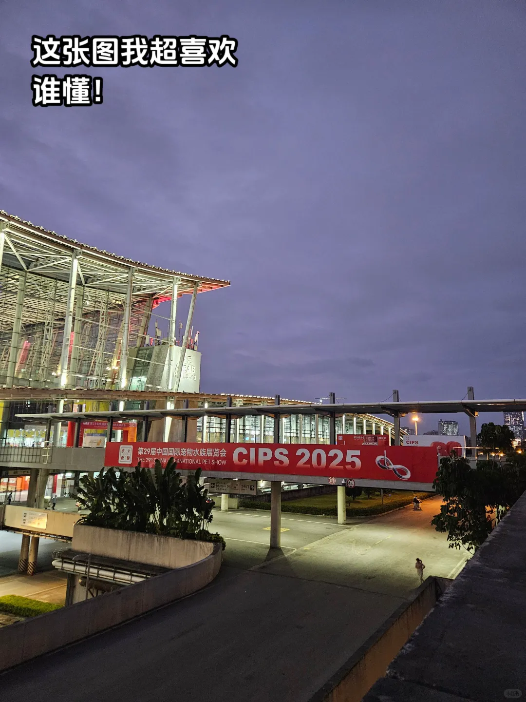 干翻译带薪看宠物！翻译到闭馆后半小时