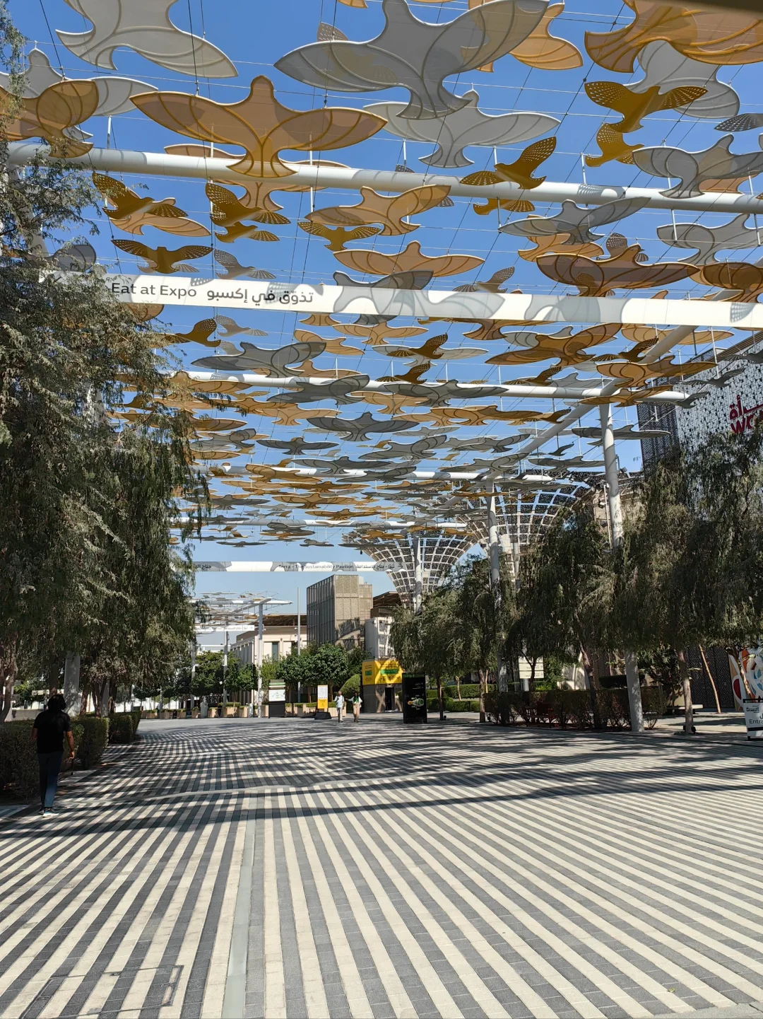 Expo City Dubai 一日