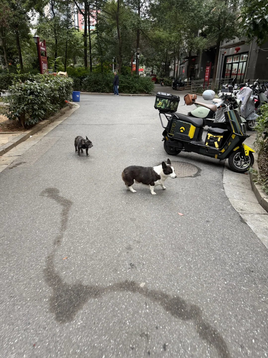 连轴转的11月-长沙国际采购对接会同传