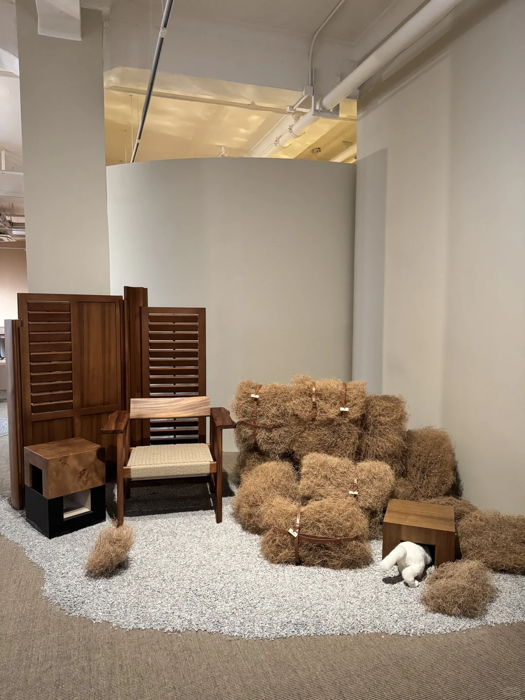 上海外滩这个展也太美了吧?