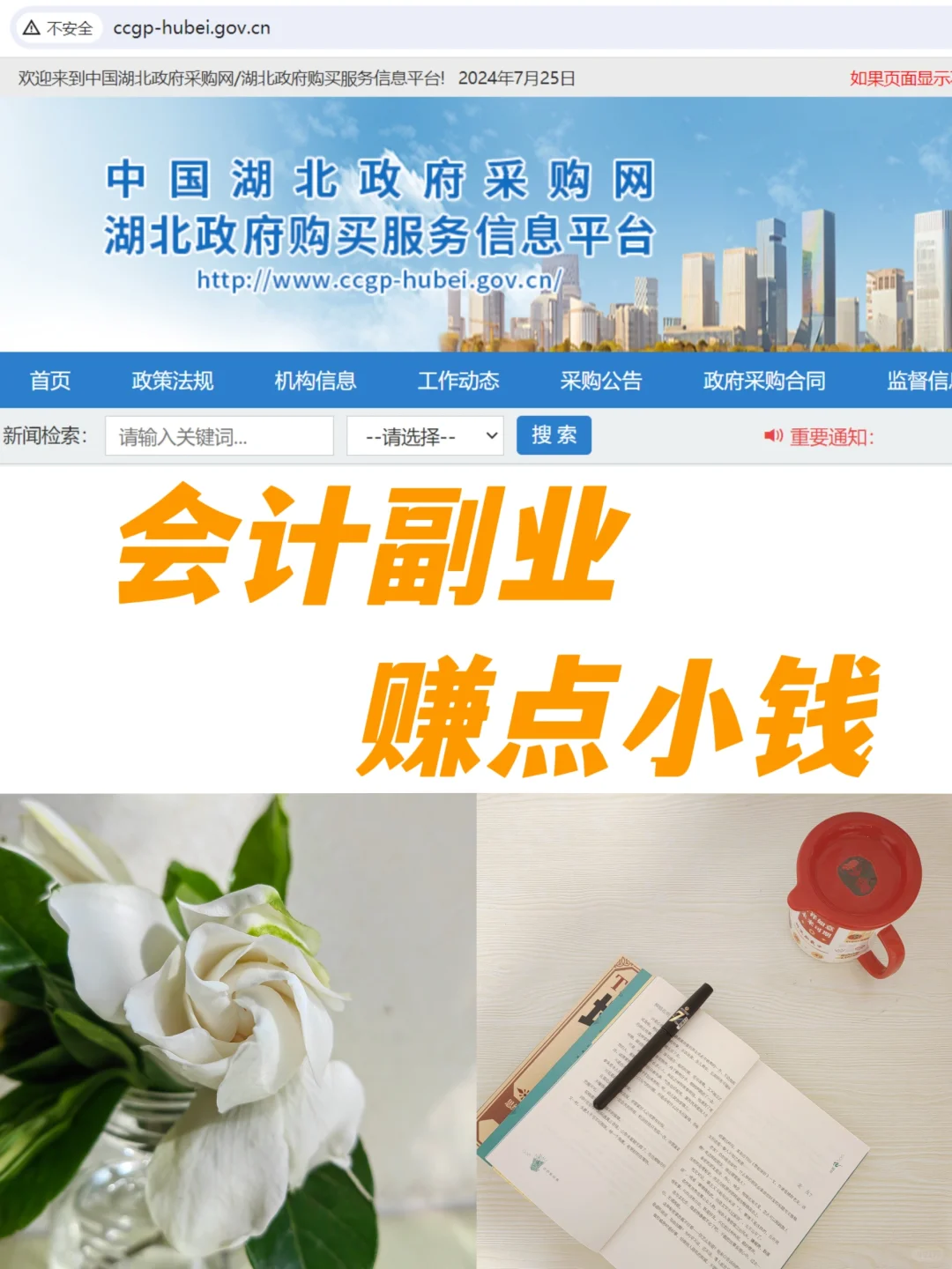 有会计中级证书,可以申请政府采购专家入库