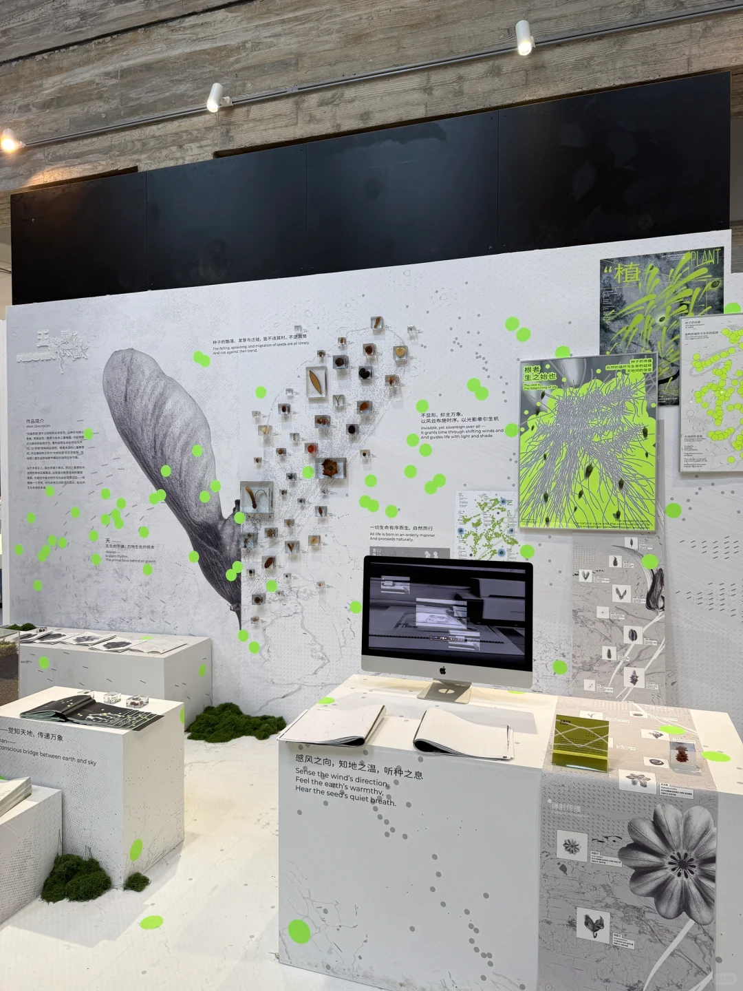 国美毕设展｜视觉传播&信息可视