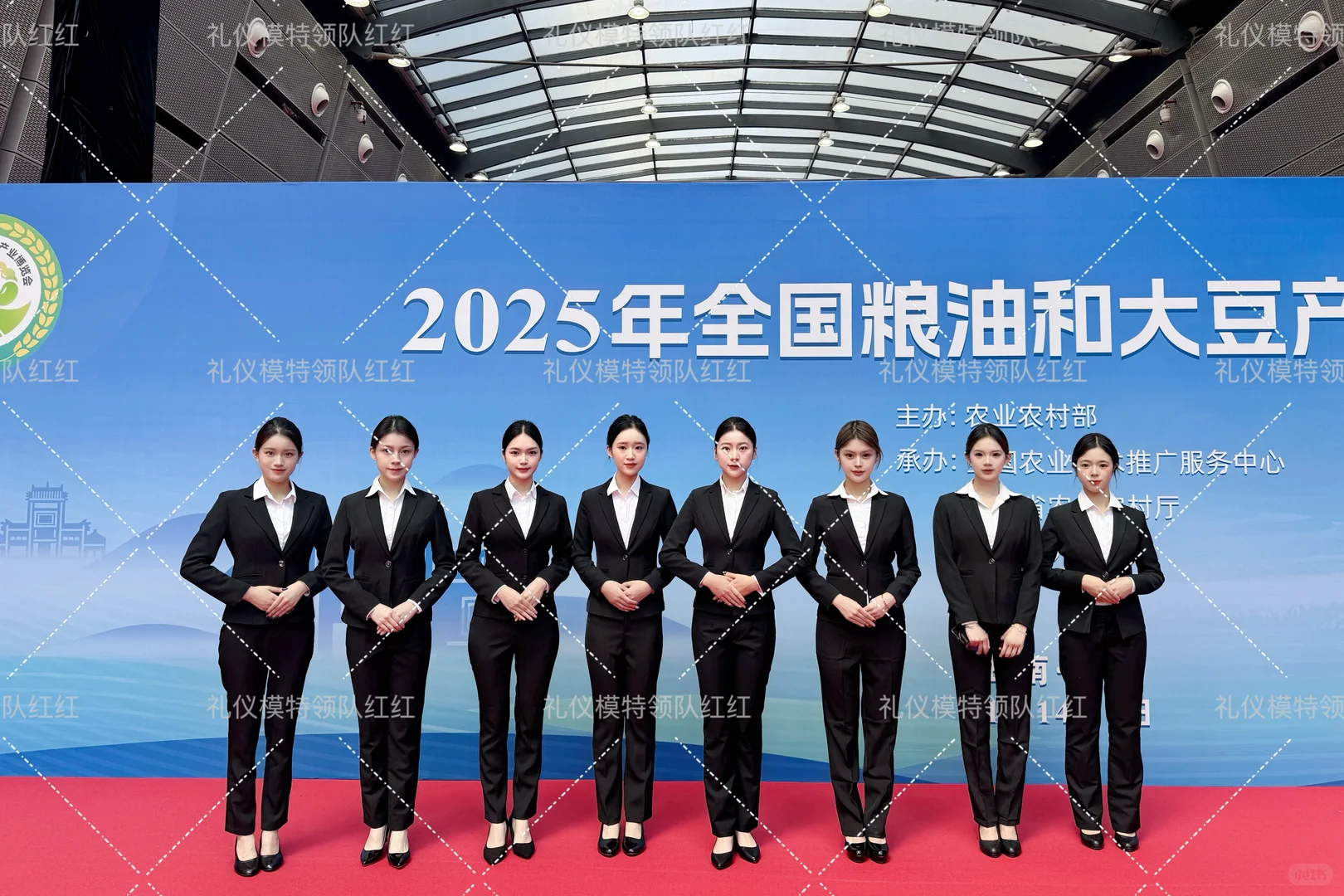 长沙礼仪｜粮油和大豆产业推介会礼仪