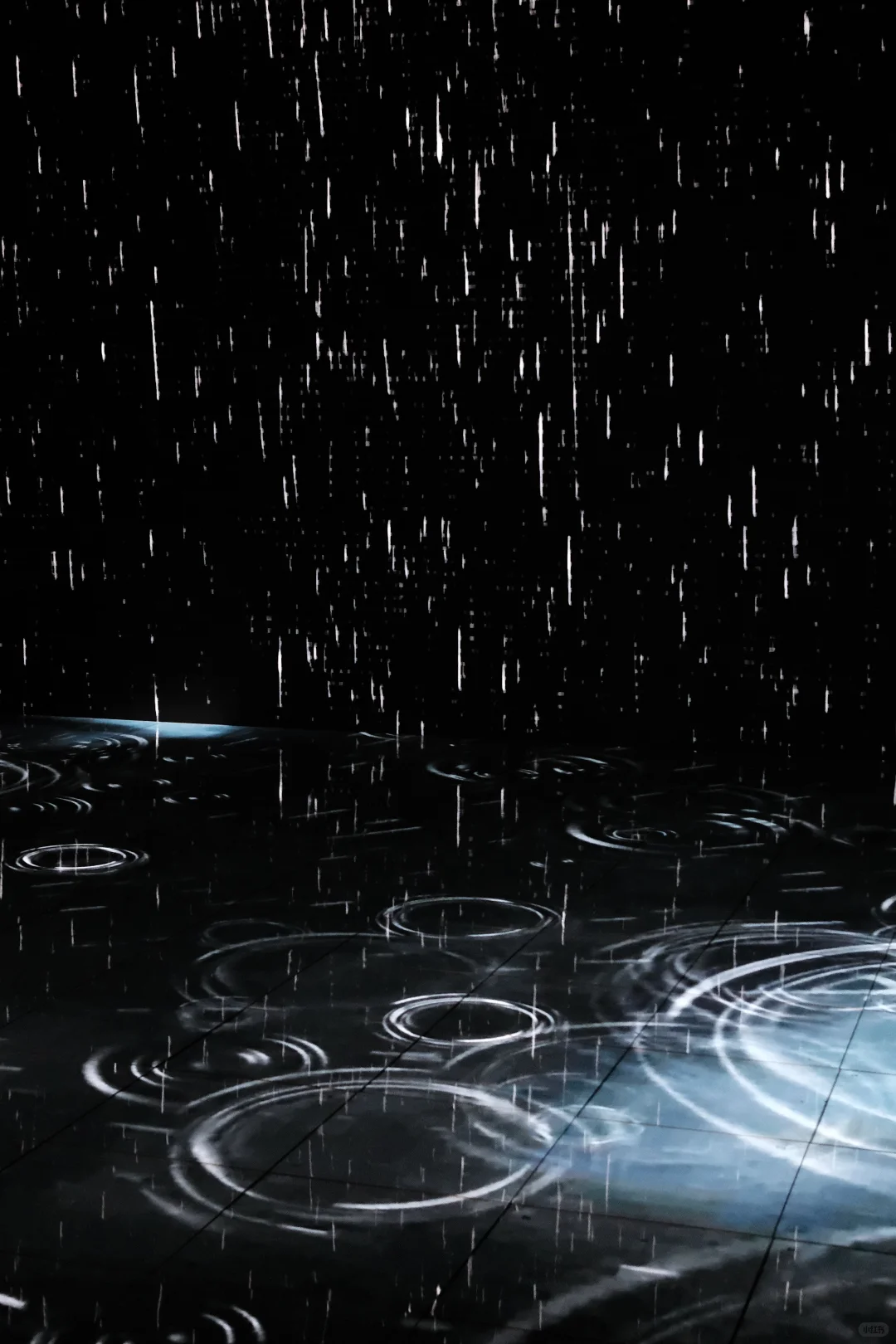 武汉新展|2025双年展打卡攻略请查收?