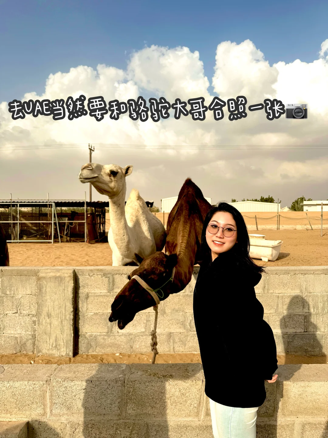 MBB-当你以为项目会稳，它就开始塌了（3/4）