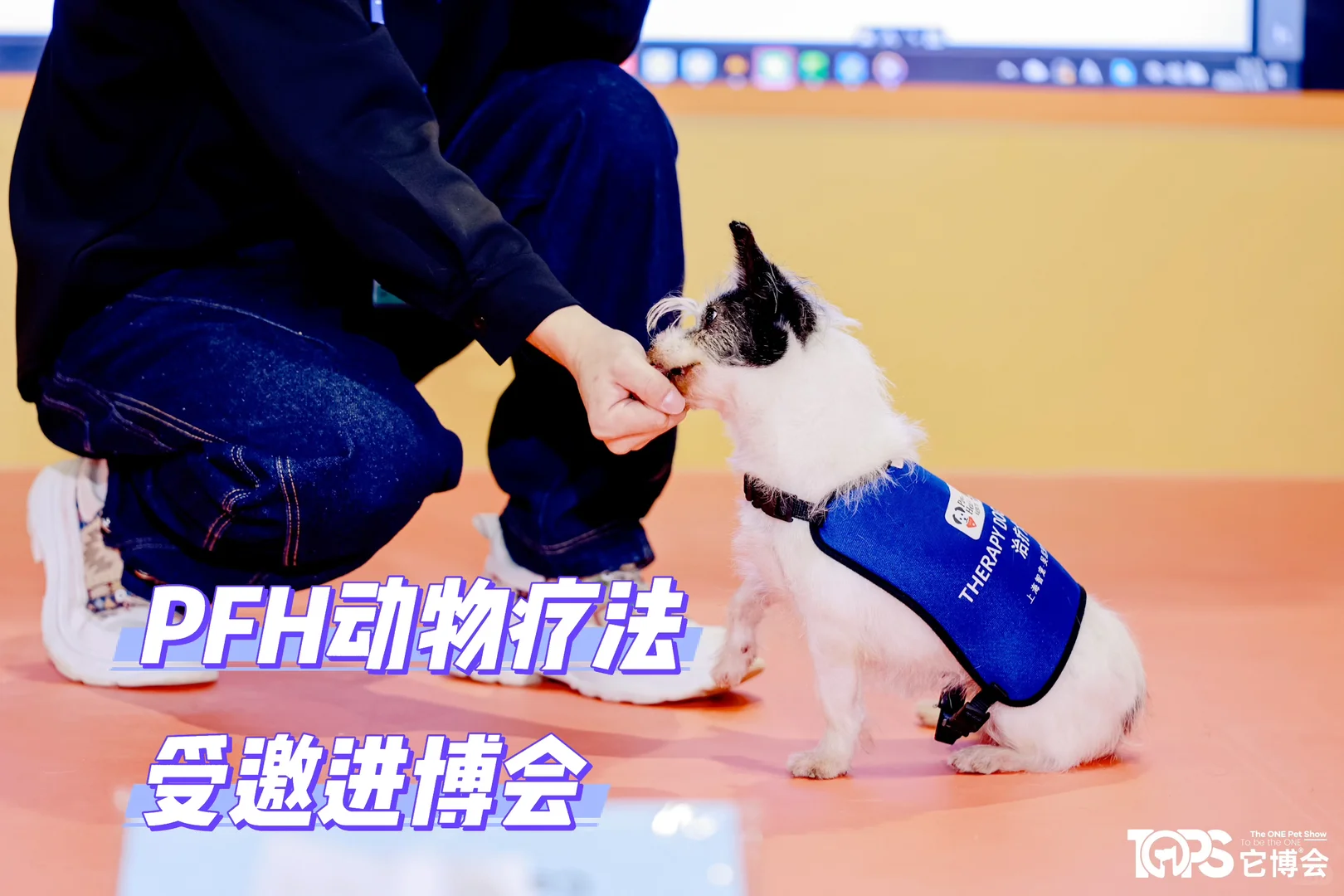 PFH动物疗法参与进博会啦！