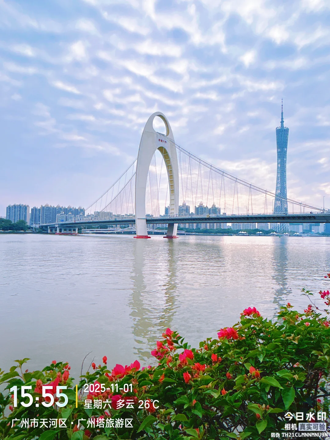 错过等一年第32届广州园博会秋季场美到窒息