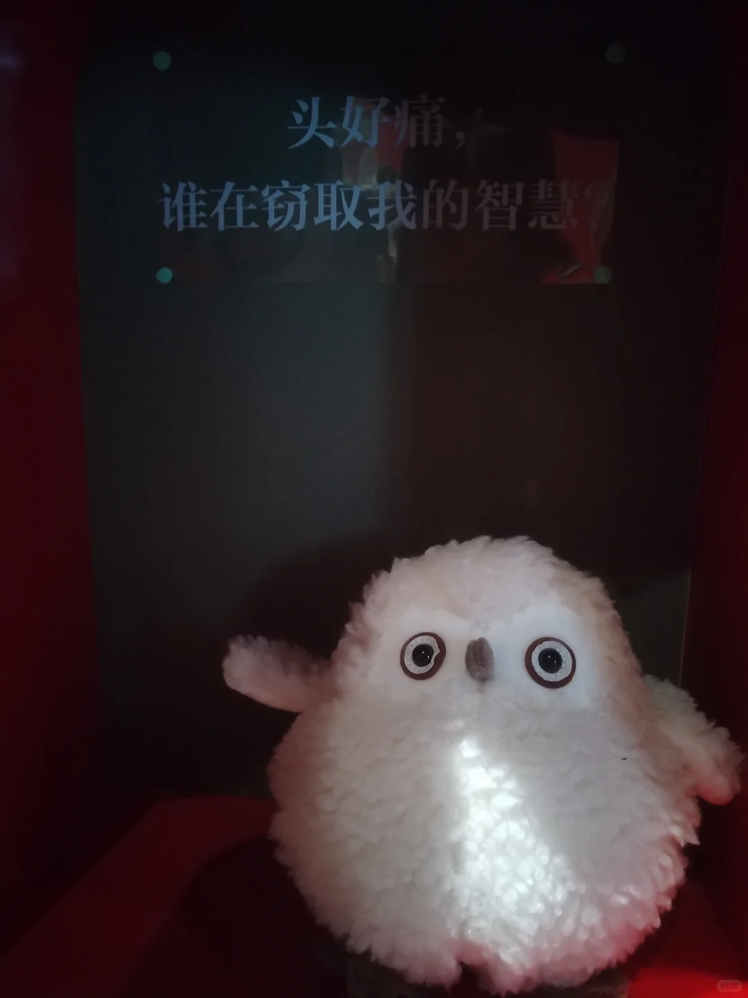 世博会博物馆罗马展