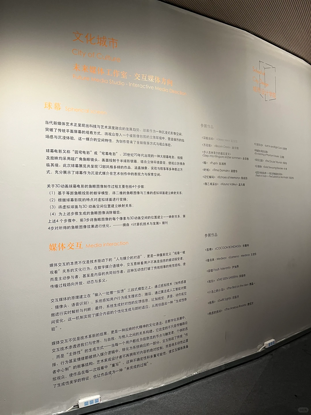 央美毕业设计展之【躺平系列】