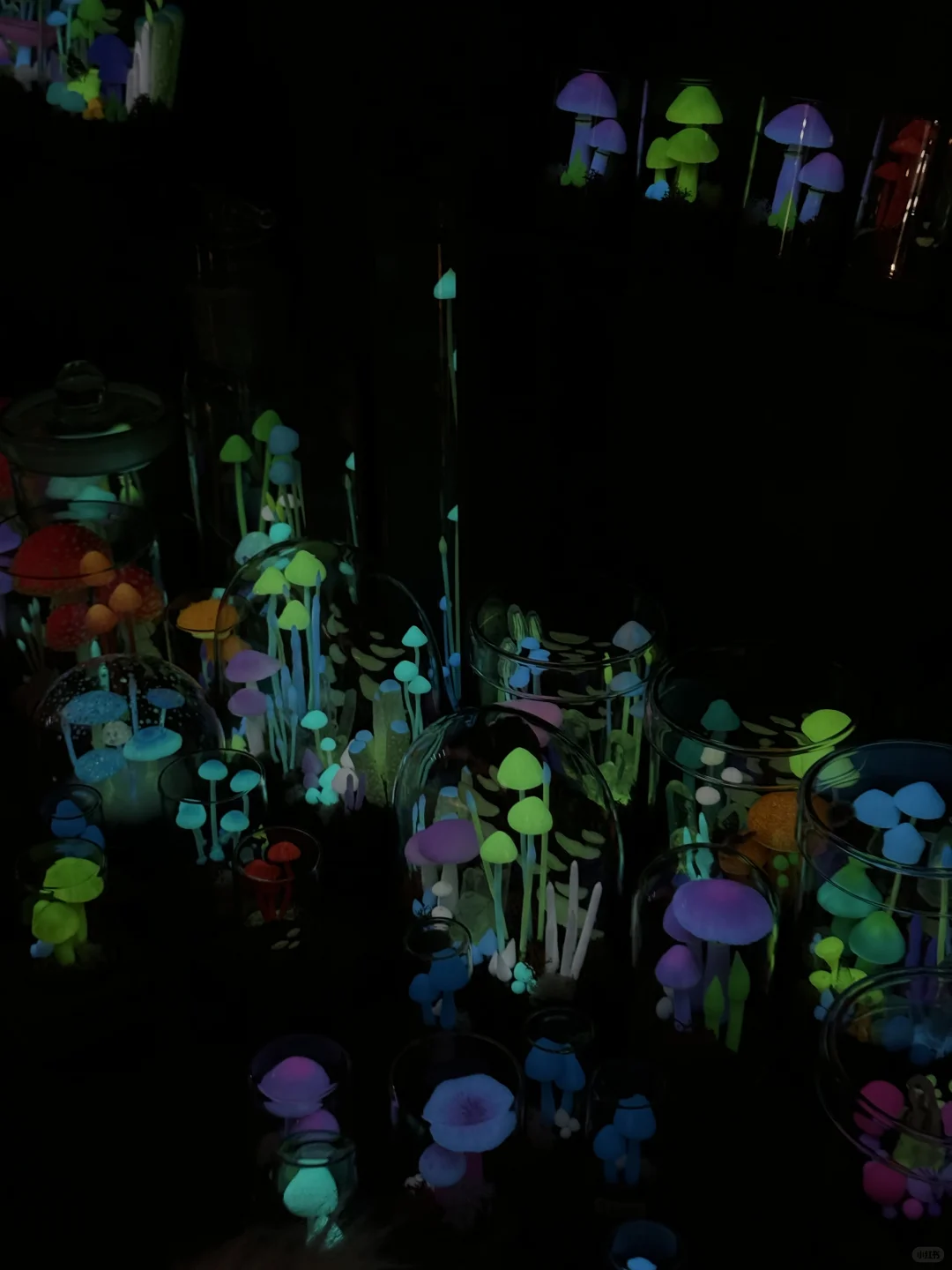 ??东京一年一度手作设计展