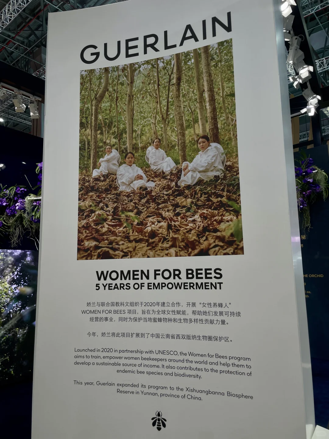 在进博会工作六天的审美积累