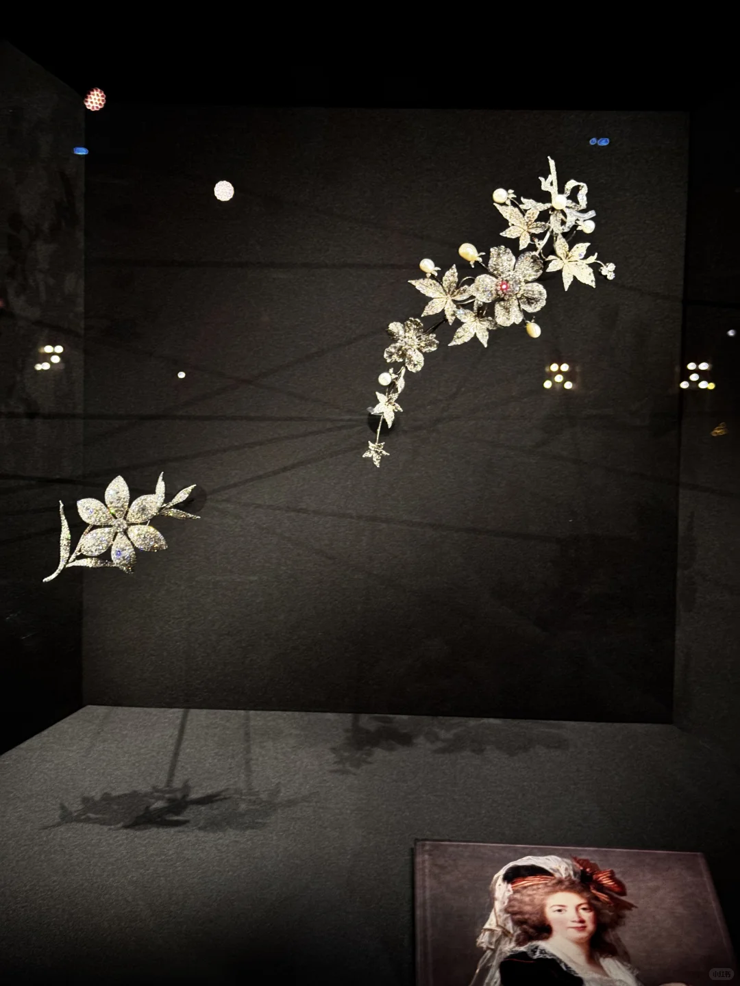 上海进博会必到打卡点，你来了吗？