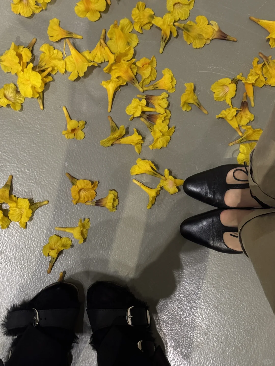 年度必看展｜上海双年展?花儿听到蜜蜂了吗