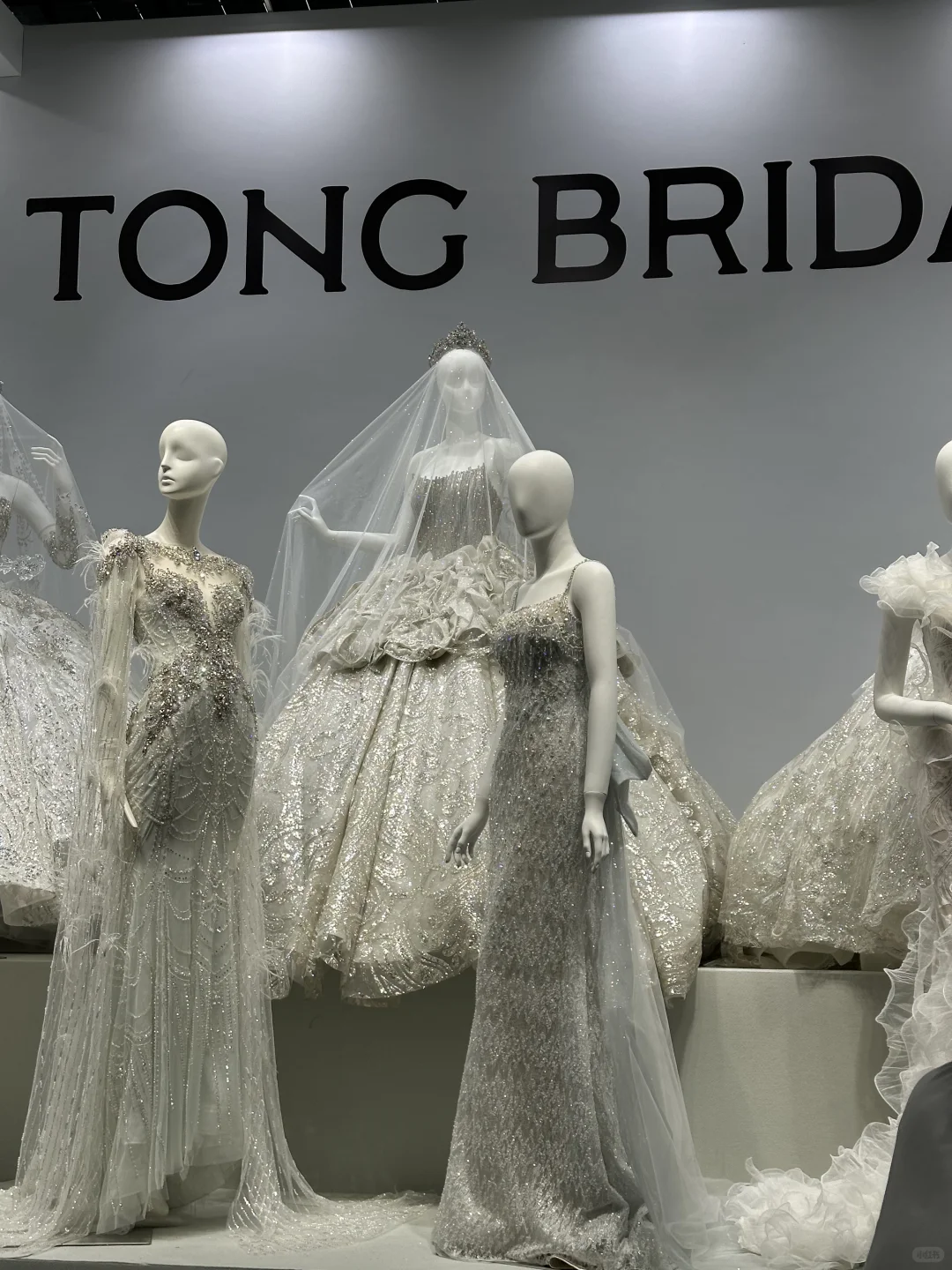 深圳备婚人必看? 婚博会逛展攻略