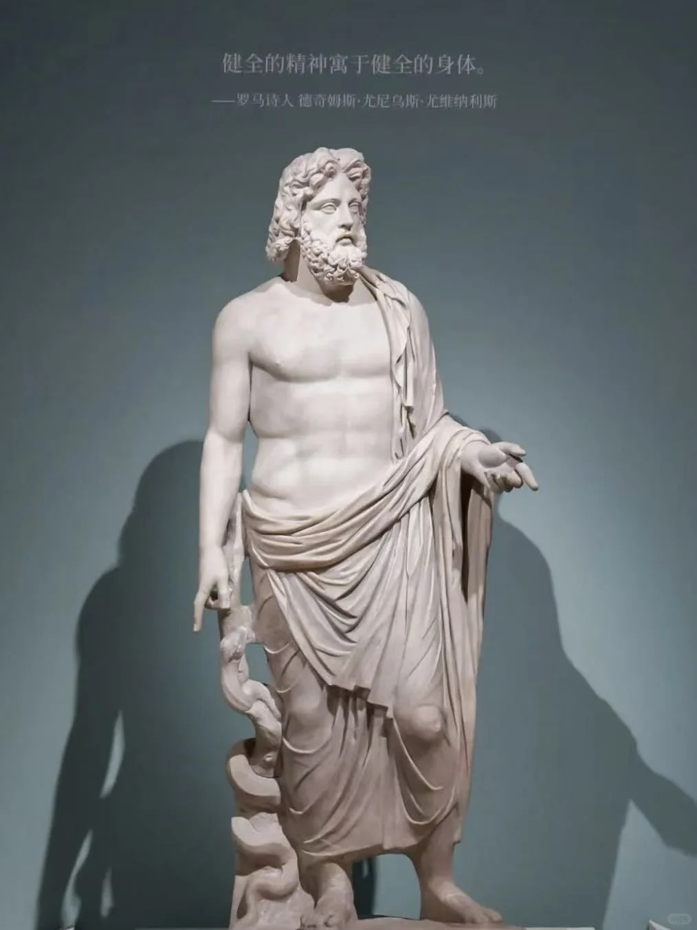 11月遛娃|上海世博会博物馆罗马罗马展