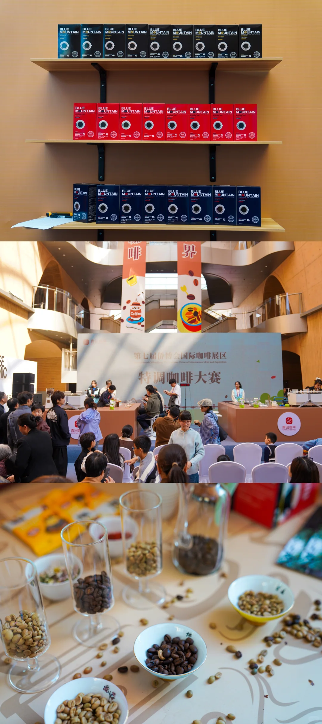 遇见世界青田｜你好中国侨乡