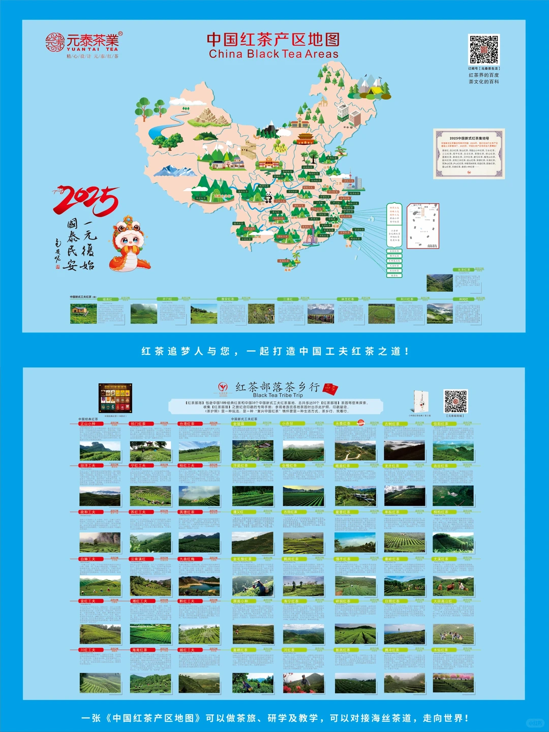 ??看展｜万里茶道×中国风味东方盛宴