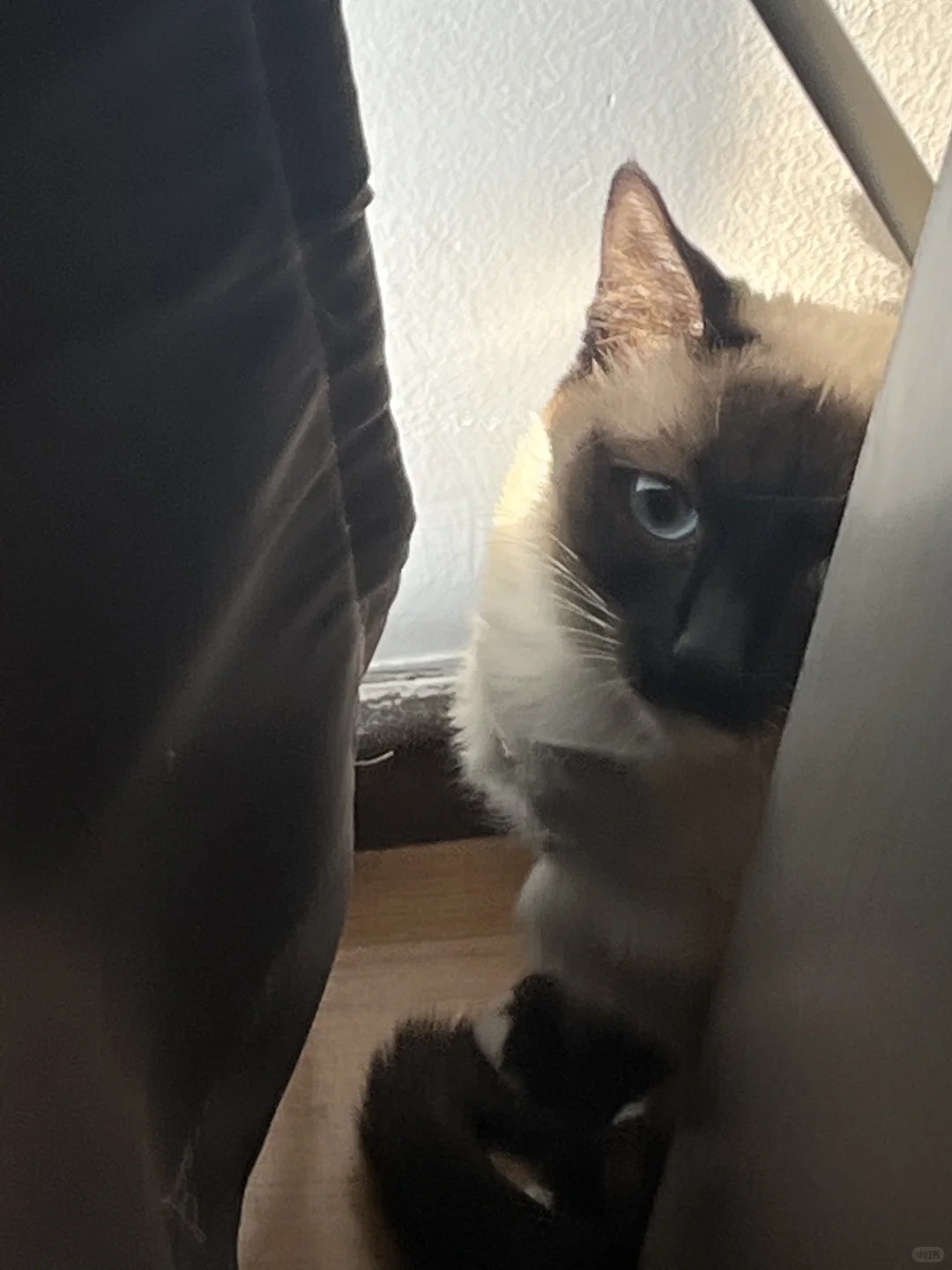 北京周末去哪儿看展？五大渠道做筛选