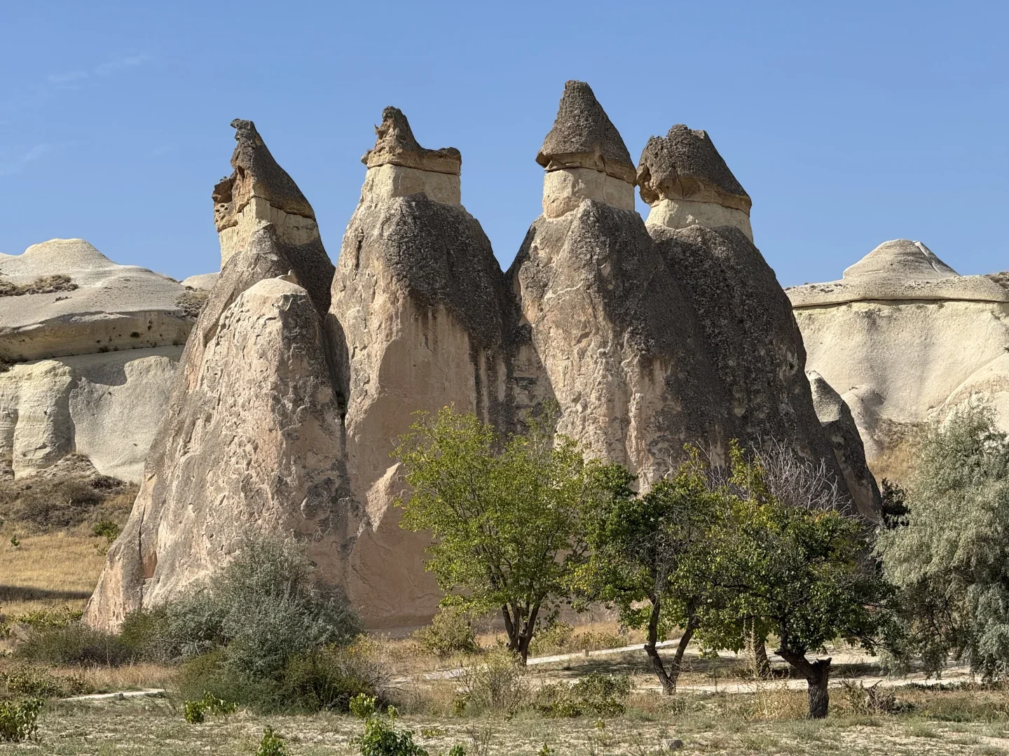 ✨2025土耳其包装展-邀中国企业共赢商机