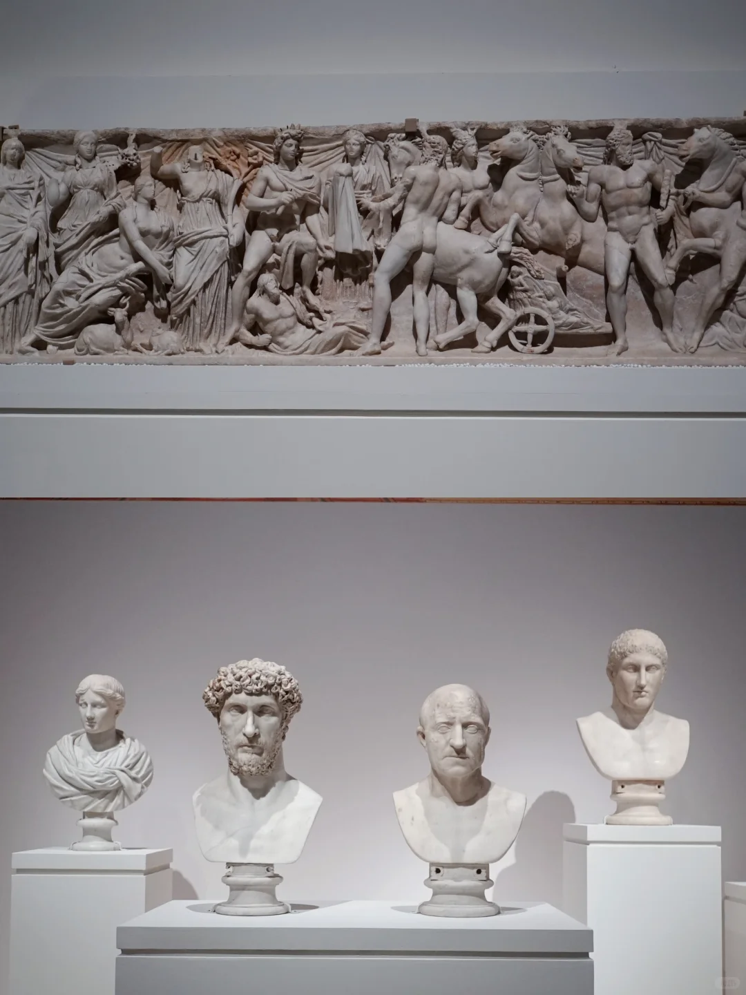 上海罗马展已回!能劝一个是一个!