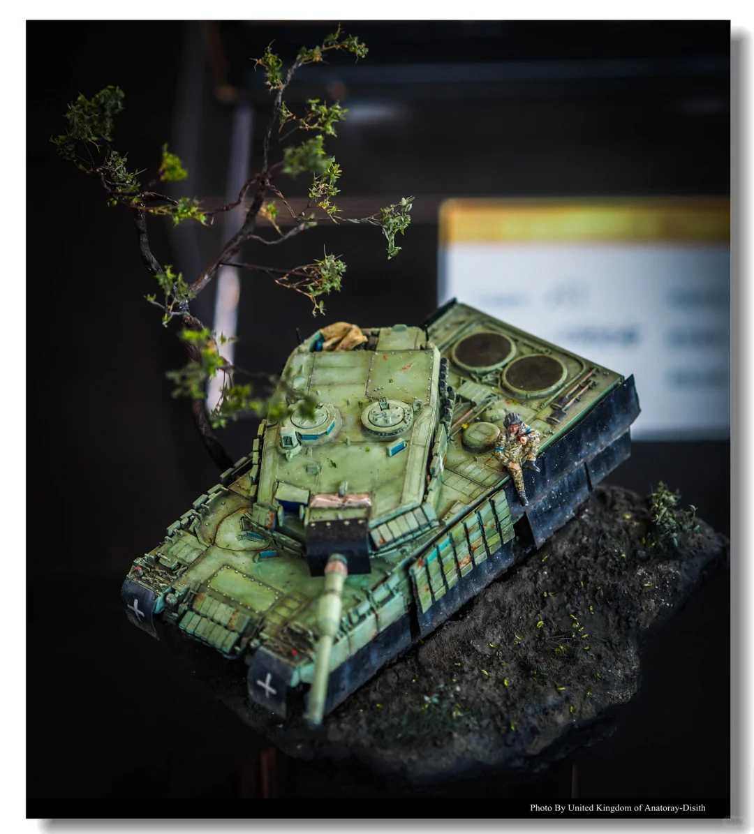 模展随拍 | 2025成都国际模型赛战车组I