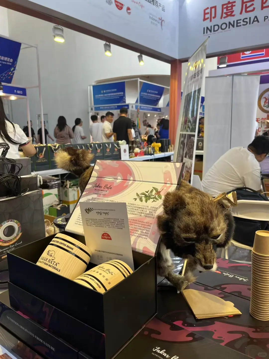 2025上合博览会|周末不知道去哪就来这吧❗