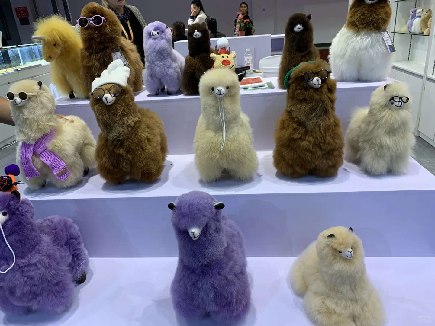 逛义乌进口博览会