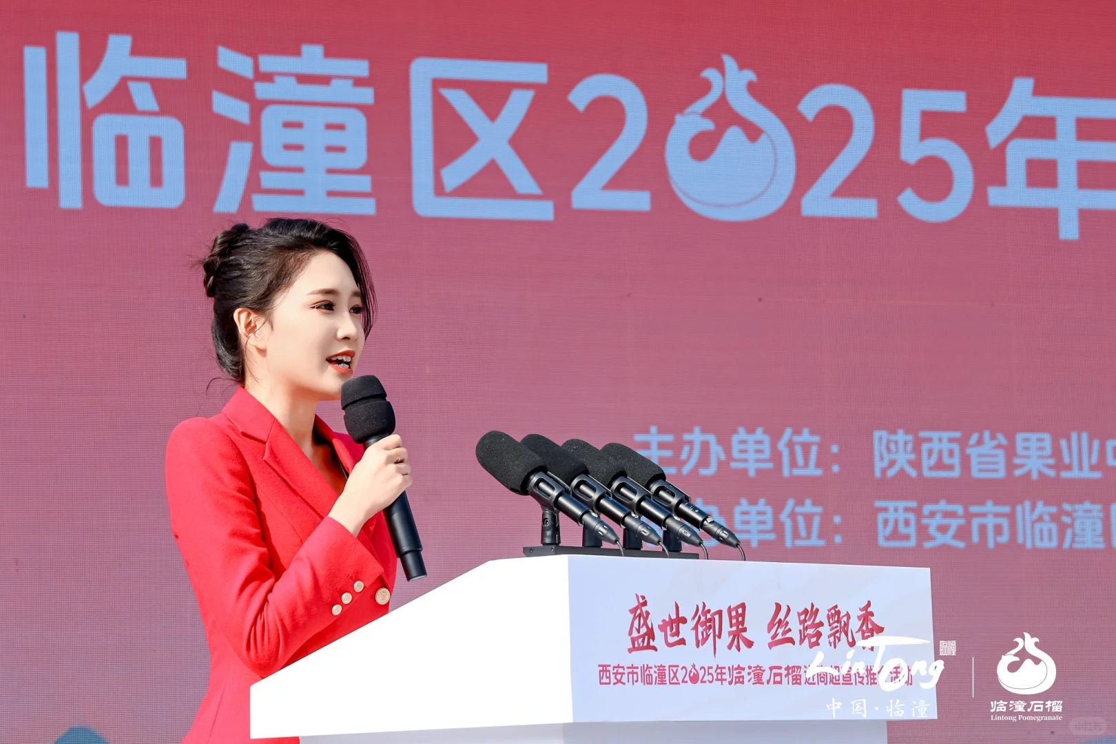 西安活动拍摄丨石榴推介会