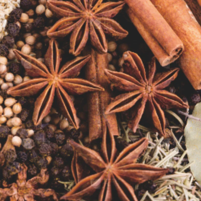 11月21日 台州食材饮料展 福利超多！