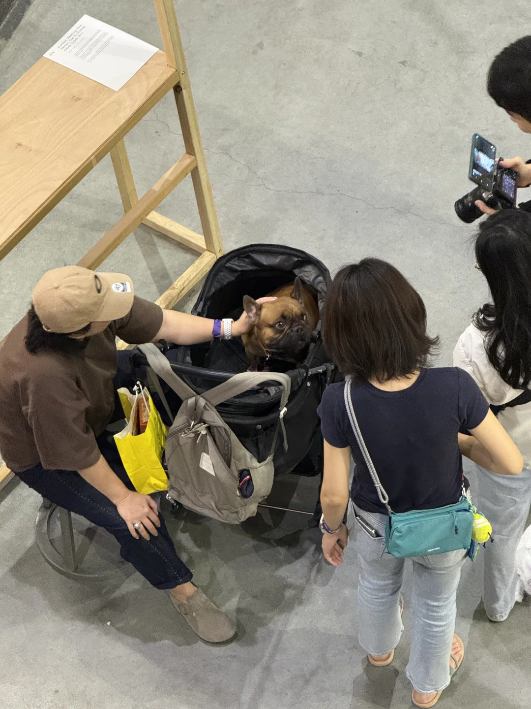 abC｜艺术观察计划