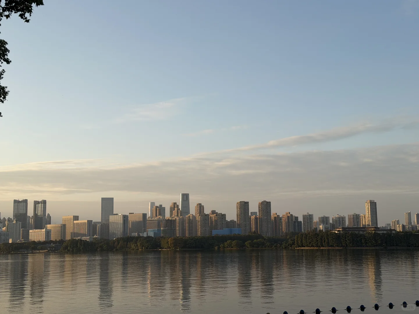 面试复盘｜外企 采购 供应链