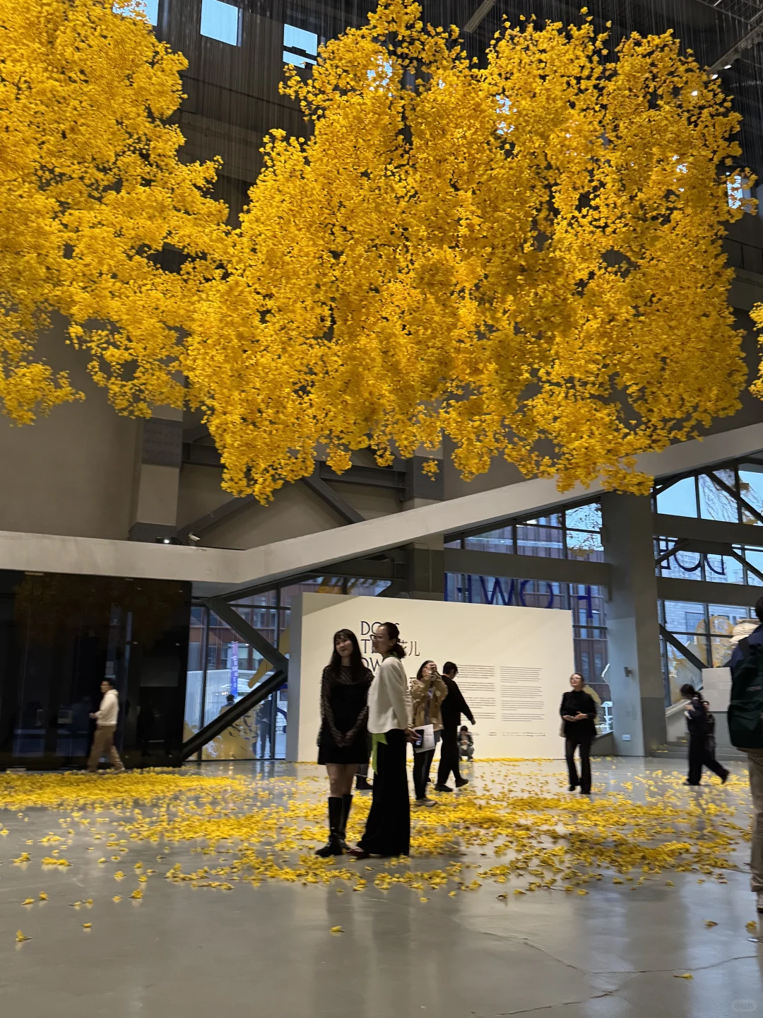 2025上海双年展是把秋天搬进展厅了吧！