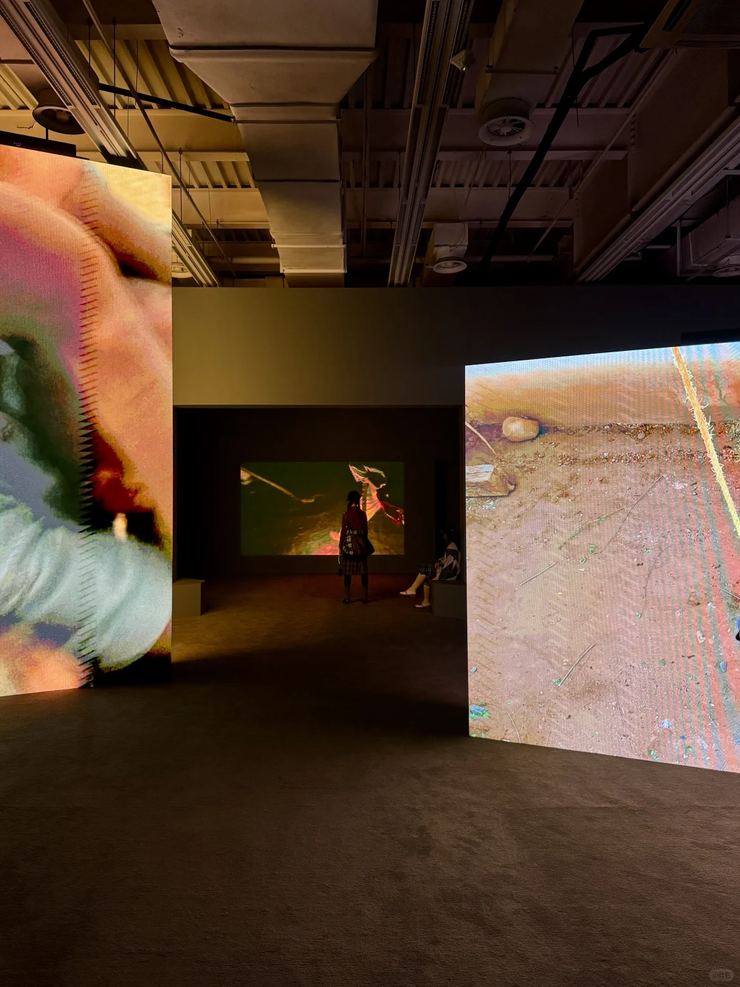 年度必看展｜上海双年展?花儿听到蜜蜂了吗