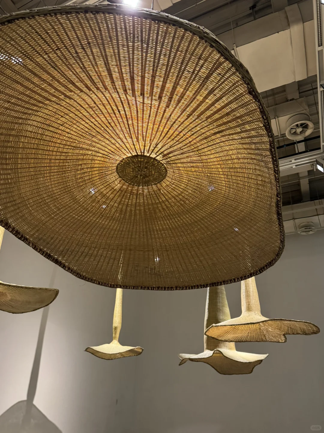 2025上海双年展是把秋天搬进展厅了吧！