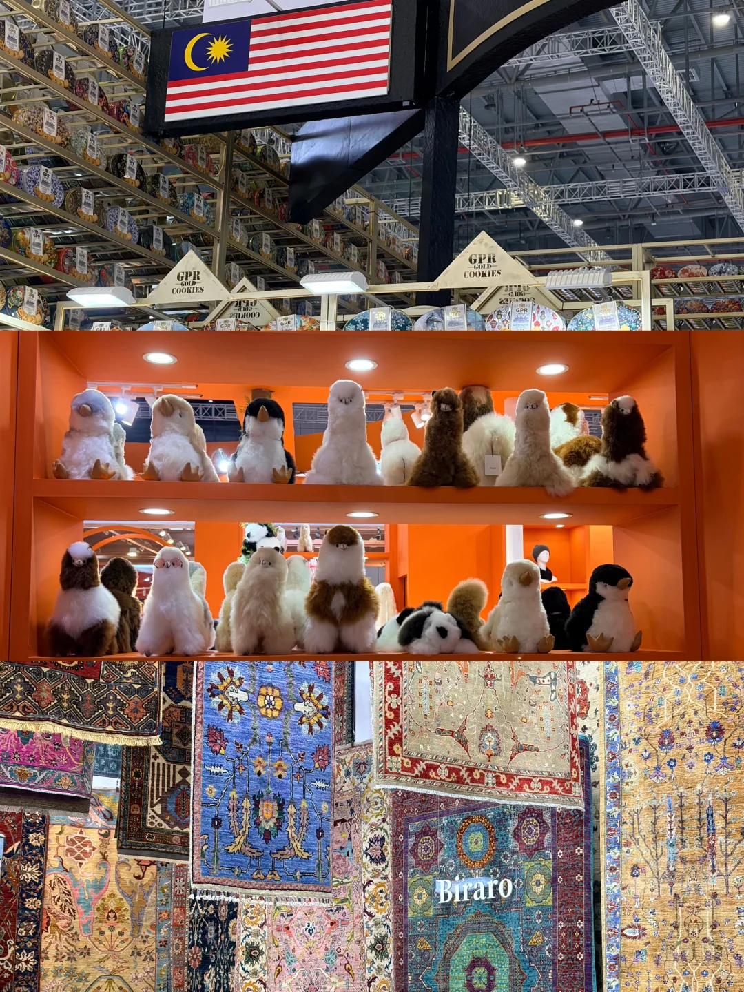 上交研一?进！博！会！