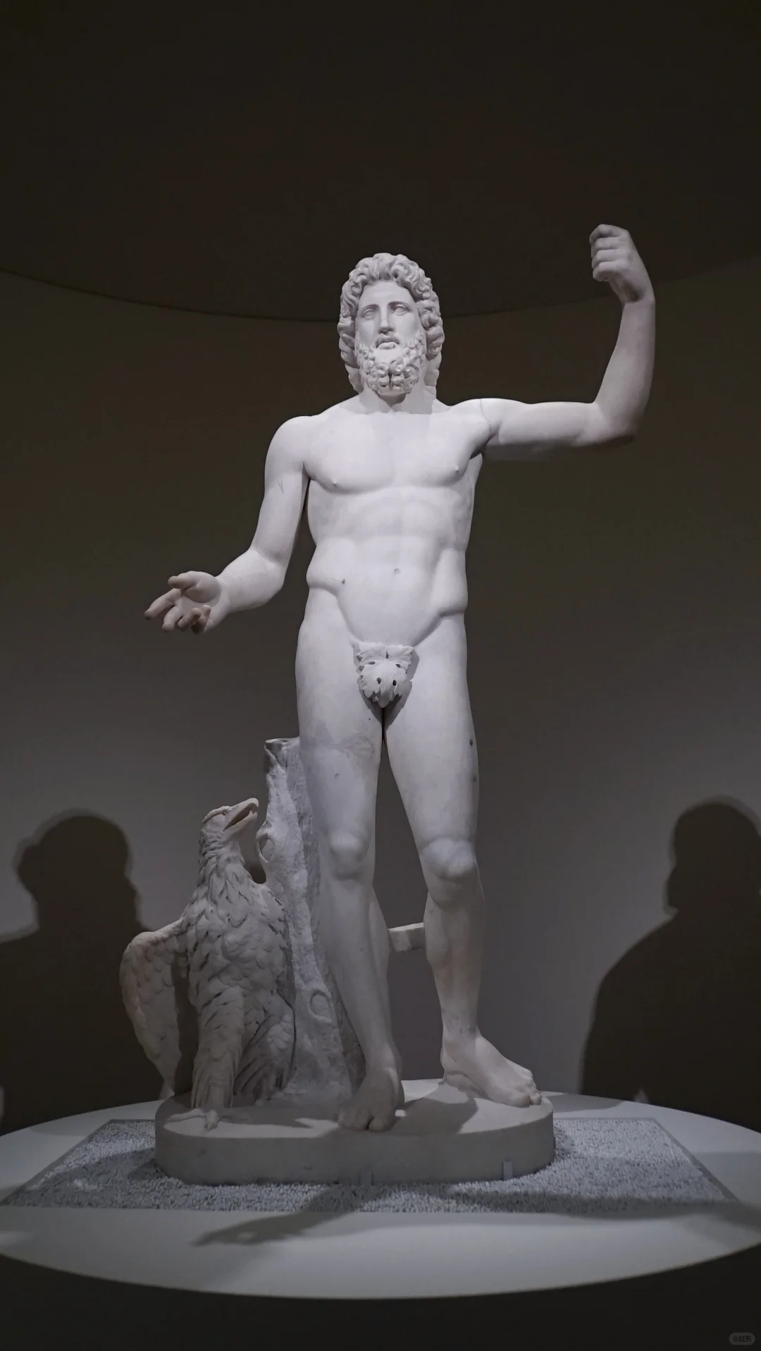 上海罗马展已回!能劝一个是一个!