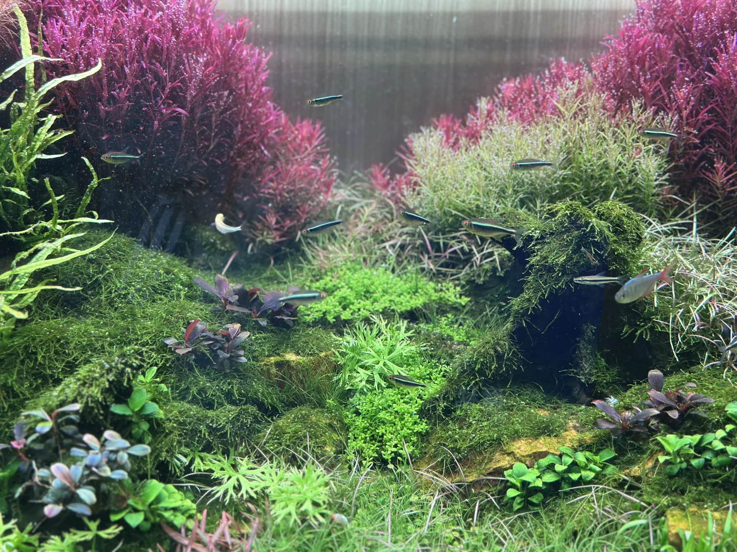 云观展- 2025长城杯