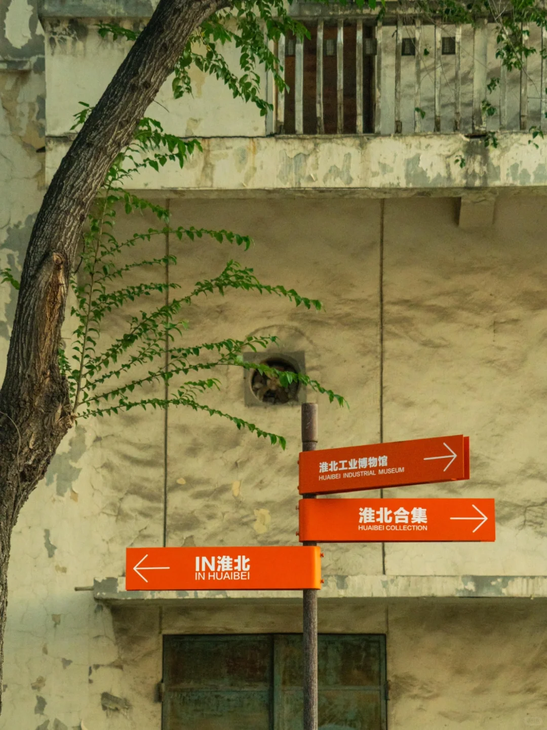 集合‼️淮北新晋宝藏打卡地，人少免费且出片