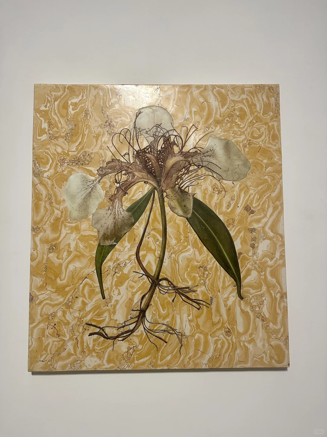 在工业风里遇美学与科技的碰撞