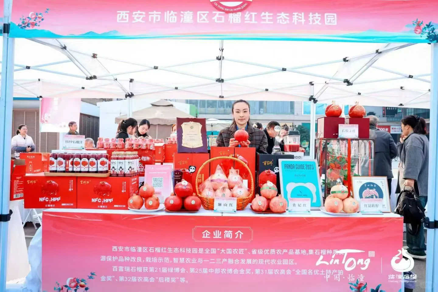 西安活动拍摄丨石榴推介会