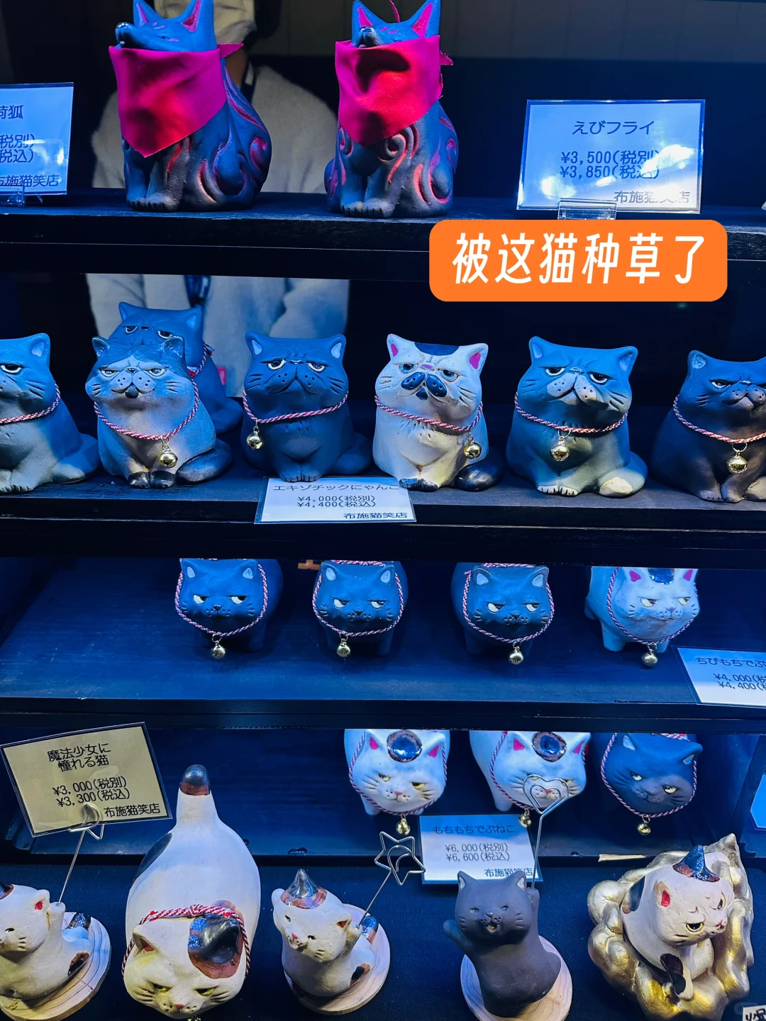 ?? 出门涨见识了，TokyoDesignFesta设计展