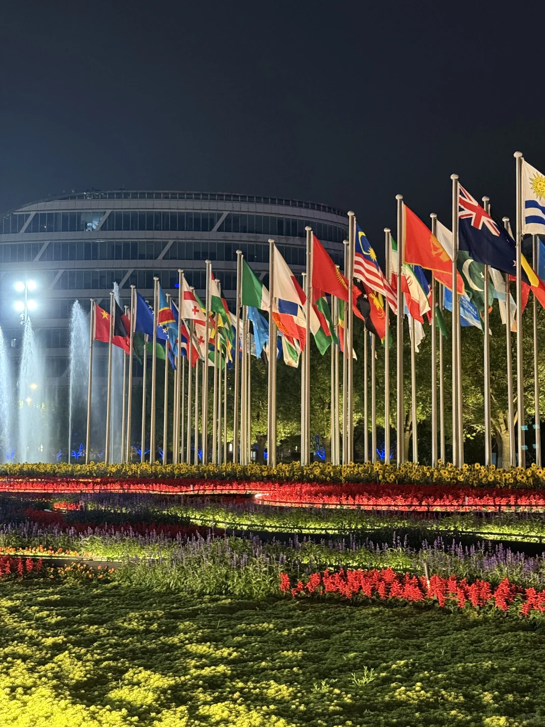 上海进博会圆满收官啦