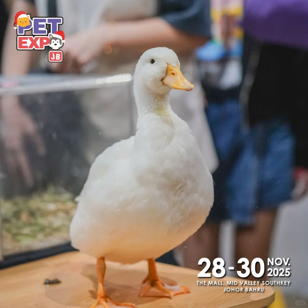 11月宠物展Pet Expo 2025攻占JB新山！???