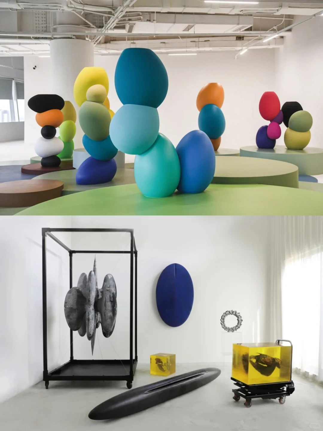 上海11月必冲艺术狂欢?西岸艺博会全攻略